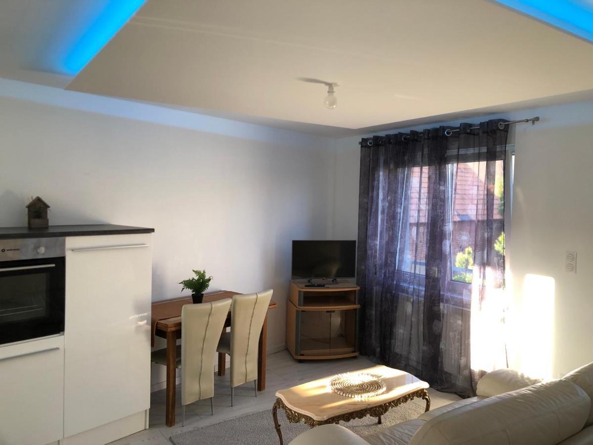 Appartement Willa Chez Willi Niederschaeffolsheim 外观 照片