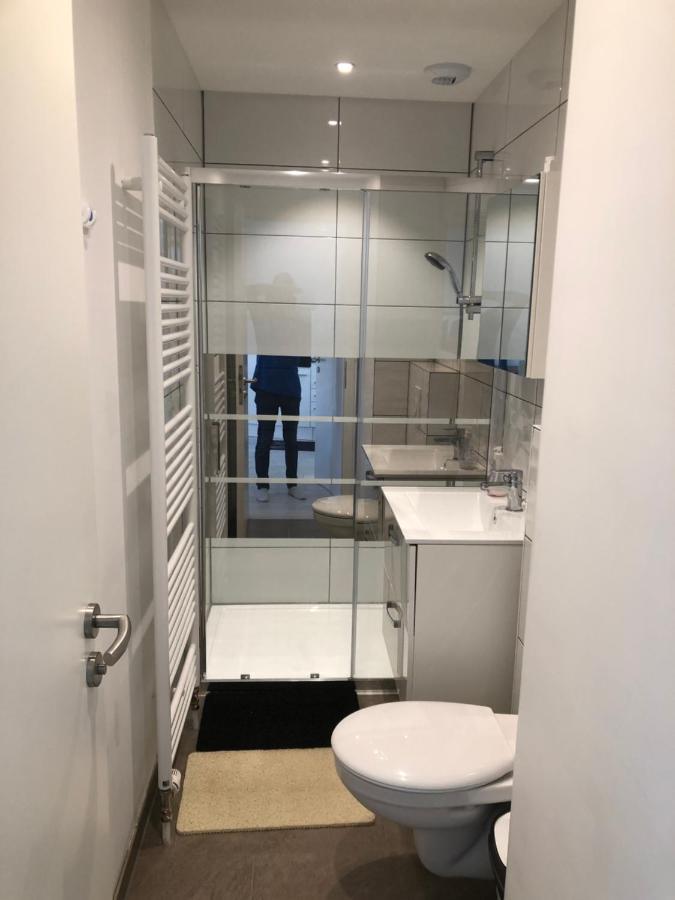 Appartement Willa Chez Willi Niederschaeffolsheim 外观 照片