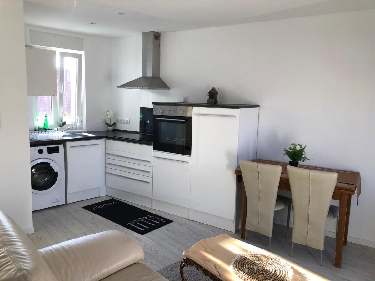Appartement Willa Chez Willi Niederschaeffolsheim 外观 照片