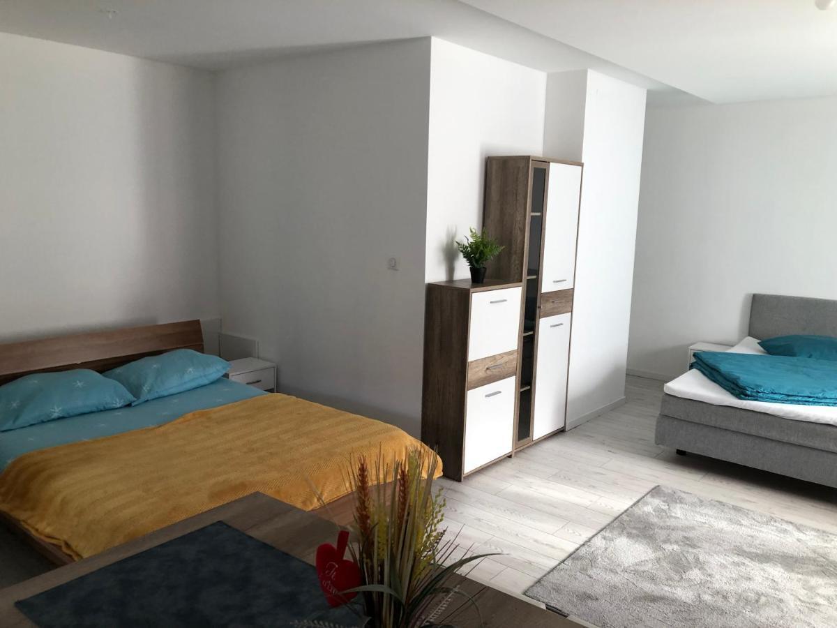 Appartement Willa Chez Willi Niederschaeffolsheim 外观 照片